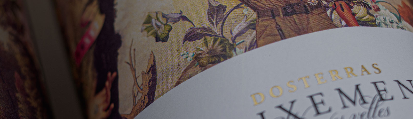 Title Image